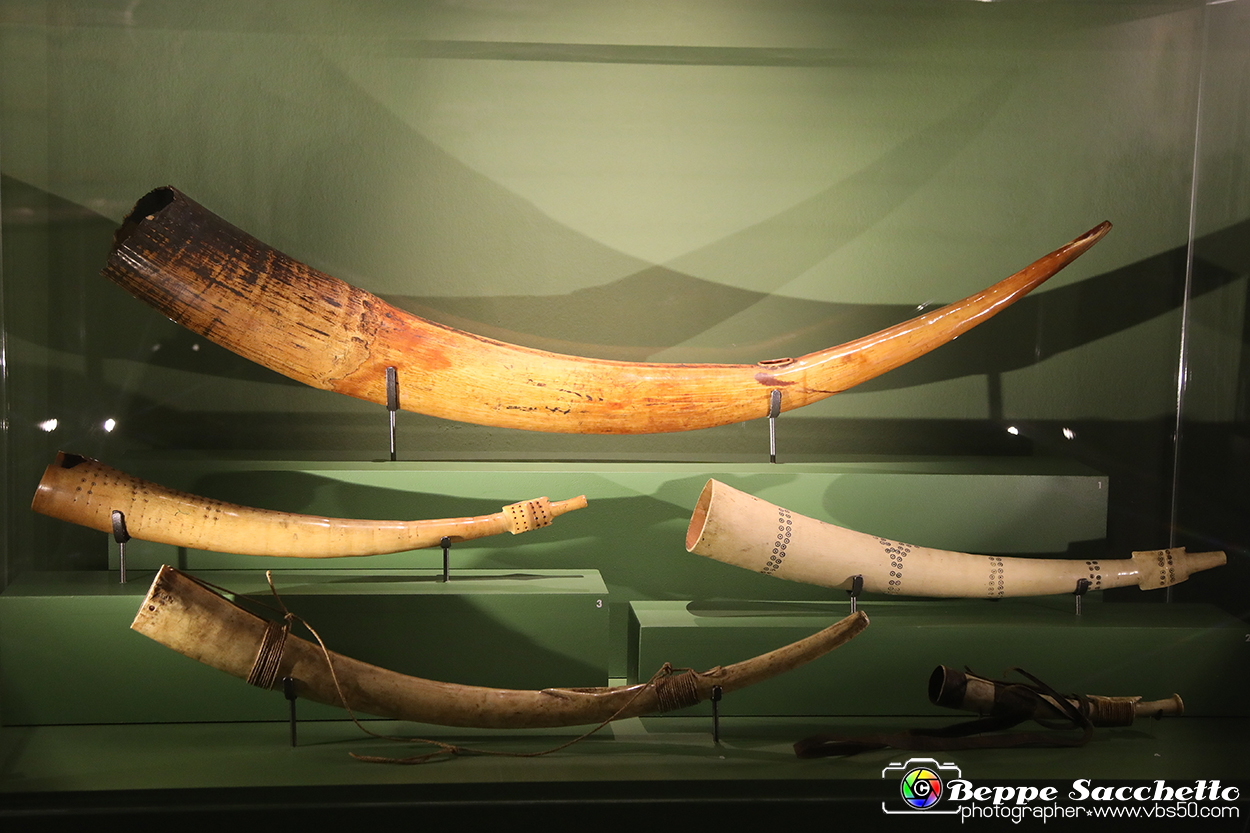 VBS_5432 - Africa - Le collezioni dimenticate.jpg